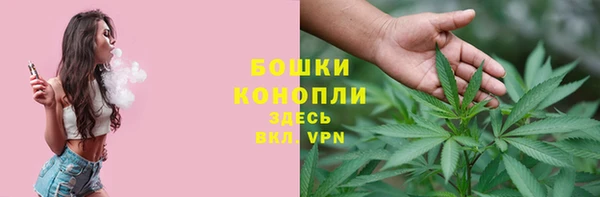 трава Новозыбков