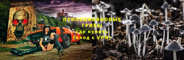 меф Арсеньев