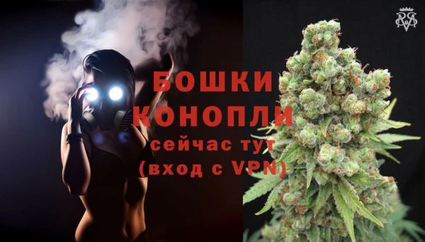 меф Арсеньев