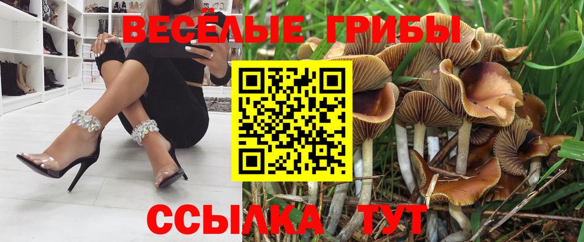 как найти наркотики  Галлюциногенные грибы Psilocybe  Вход с VPN  Сухой Лог  Галлюциногенные грибы GOLDEN TEACHER 
