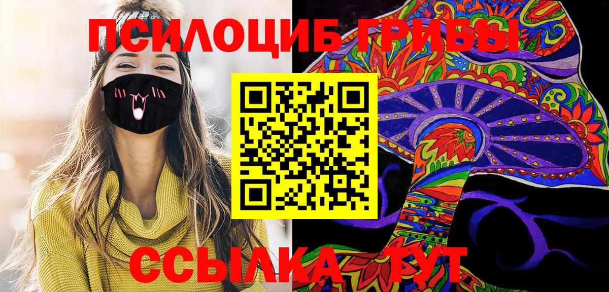 Галлюциногенные грибы Cubensis Сухой Лог