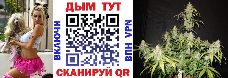 магазин продажи   Сухой Лог  Конопля семена 